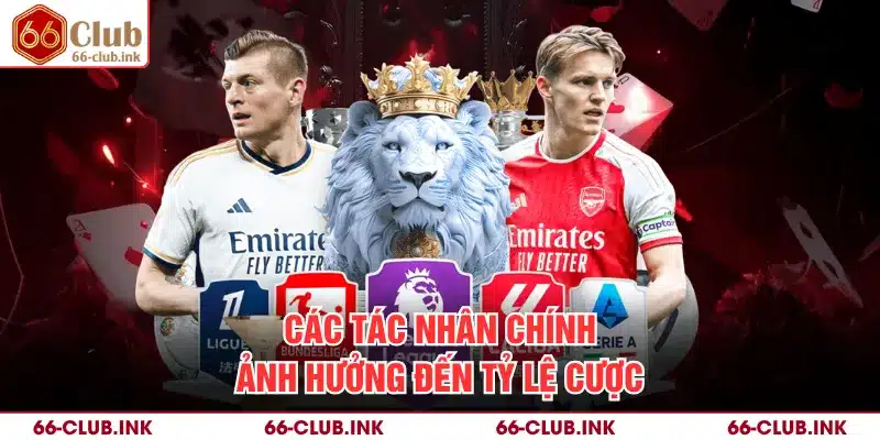 Các tác nhân chính ảnh hưởng đến tỷ lệ cược