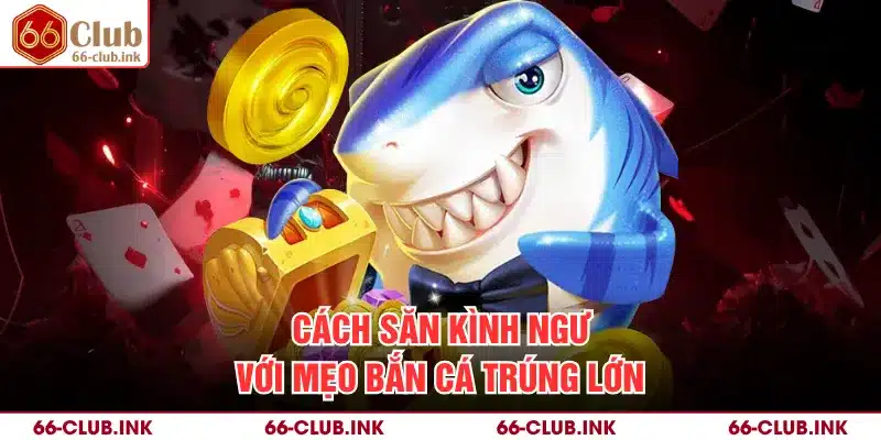 Cách săn kình ngư với mẹo bắn cá trúng lớn