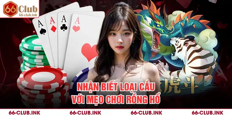 Nhận biết loại cầu với mẹo chơi Rồng Hổ