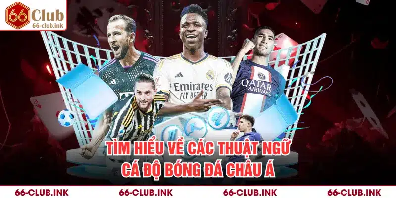 Tìm hiểu về các thuật ngữ cá độ bóng đá châu Á