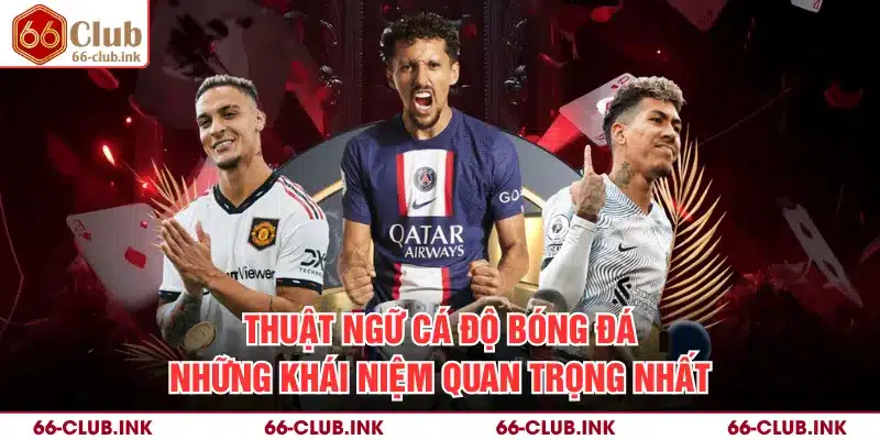 Thuật Ngữ Cá Độ Bóng Đá - Những Khái Niệm Quan Trọng Nhất